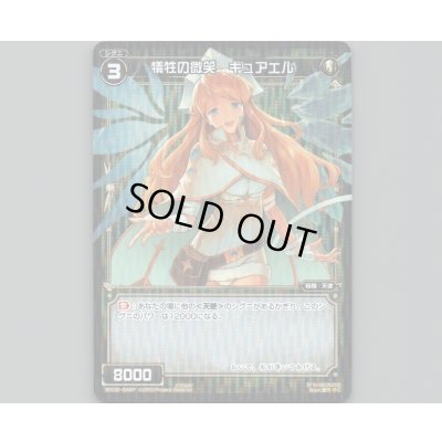 画像1: 犠牲の微笑 キュアエル(パラ)