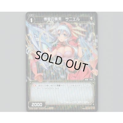 画像1: 博愛の集束 サニエル(パラ)