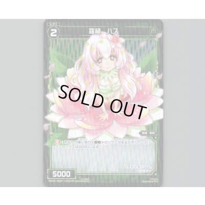 画像1: 羅植 ハス(パラ)