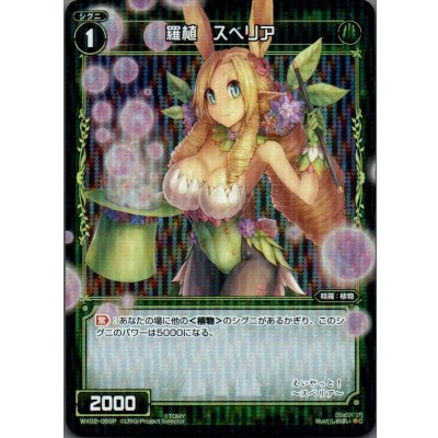 画像1: 羅植 スベリア(パラ)