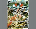 十六夜の巫女 タマヨリヒメ(パラ)