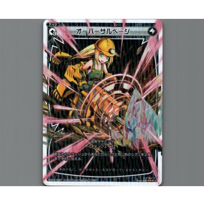 画像1: オーバーサルベージ(パラ)