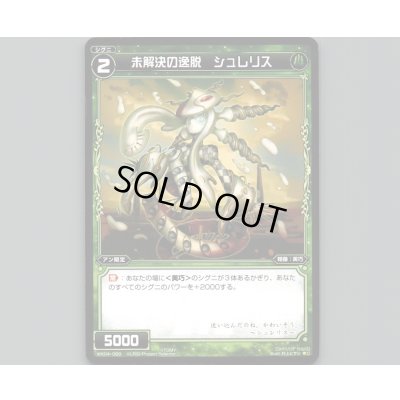 画像1: 未解決の逸脱 シュレリス