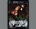 堕落の消滅 アリトン(パラ)