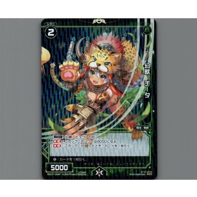 画像1: 幻獣 チータ(パラ)
