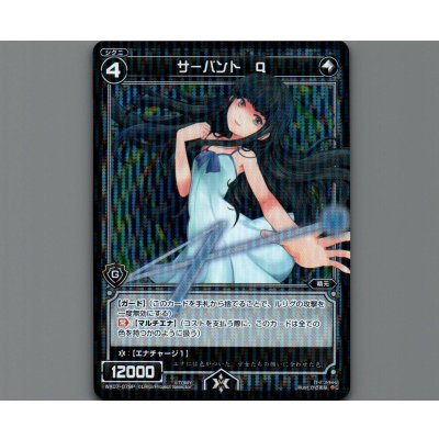 画像1: サーバント Q(パラ)
