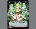 羅石 クリソベ(パラ)
