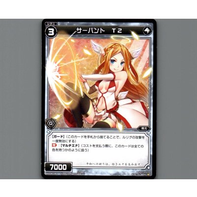 画像1: サーバント T2