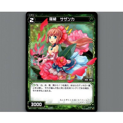 画像1: 羅植 サザンカ