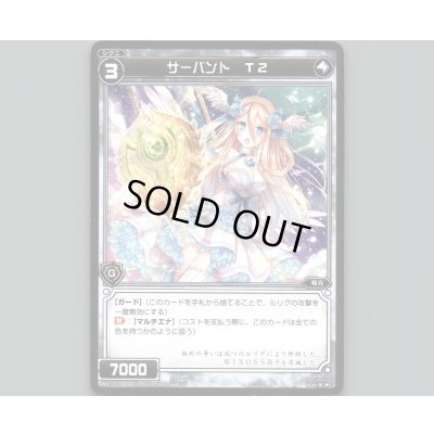 画像1: サーバント T2