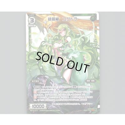 画像1: 緑羅植 ユグドラ