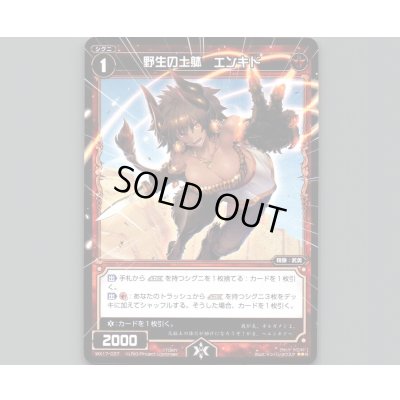 画像1: 野生の土躰 エンキド