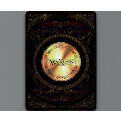 画像1: コインカード(箔押し)(SECRET)