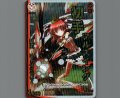羅石 カーネリアン(パラ)