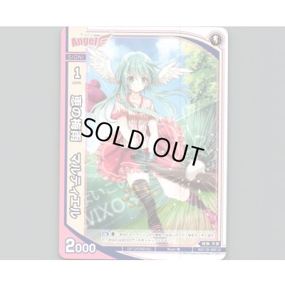 画像1: 恵の梅雨 マルティエル