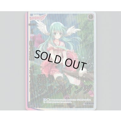 画像1: 恵の梅雨 マルティエル(パラ)