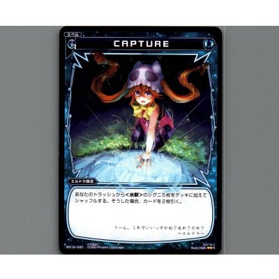 画像1: CAPTURE