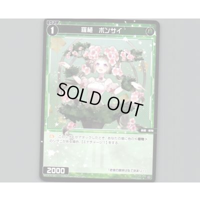 画像1: 羅植　ボンサイ