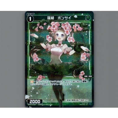 画像1: 羅植　ボンサイ(パラ)
