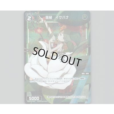 画像1: 羅植 イケバナ(パラ)