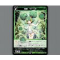 羅植　ヤドリギ