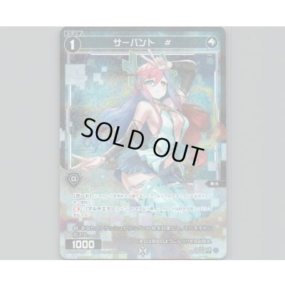 画像1: サーバント　#(パラ)