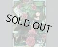 花枝招展(パラ)