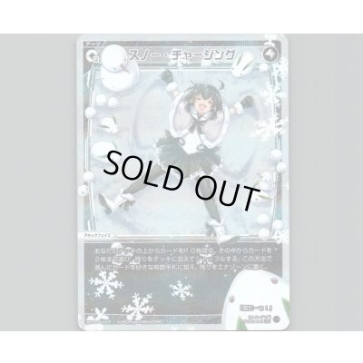 画像1: スノー・チャージング(パラ)