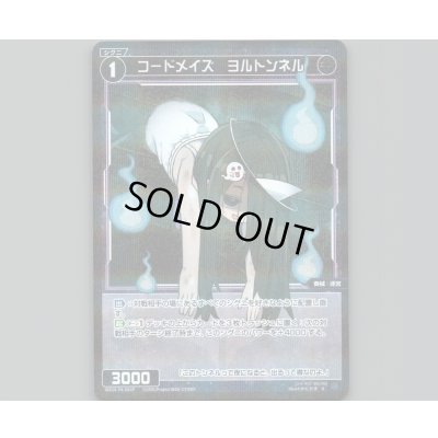 画像1: コードメイズ ヨルトンネル(パラ)