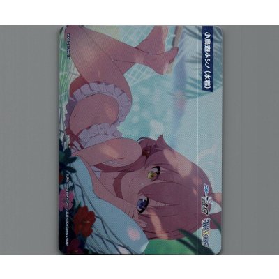 画像1: 小鳥遊ホシノ(水着)