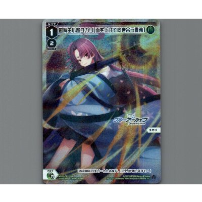 画像1: 勘解由小路ユカリ[面を上げて向き合う責務](パラ)