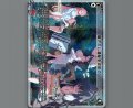隠されし遺産を求めて(パラ)
