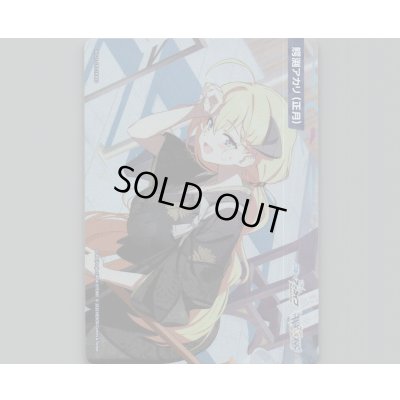 画像1: 鰐渕アカリ(正月)