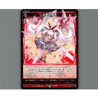 画像1: 交差の飛来