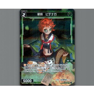 画像1: 翠将　ヒデナガ(パラ)