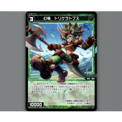 画像1: 幻竜　トリケラトプス