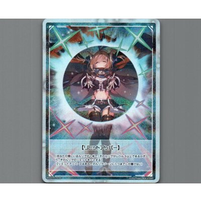 画像1: 【リミットアッパー】(パラ)