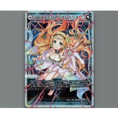 画像1: ファミリア・エンハンス(パラ)