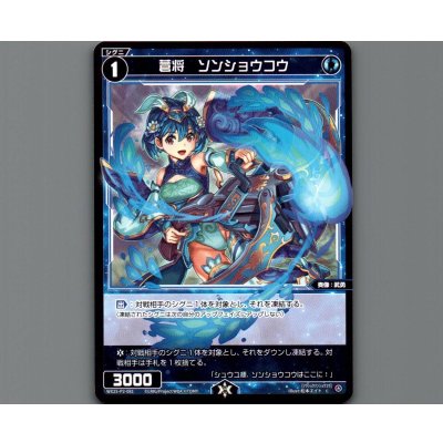 画像1: 蒼将 ソンショウコウ