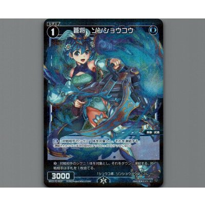 画像1: 蒼将 ソンショウコウ(パラ)