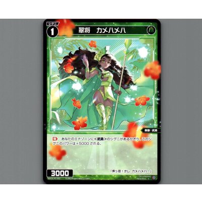 画像1: 翠将 カメハメハ