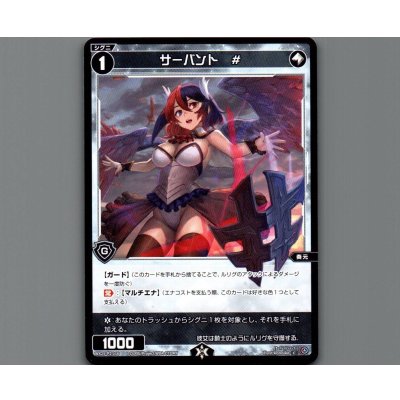 画像1: サーバント #