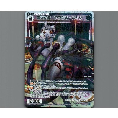 画像1: 黒大幻蟲 アラクネ・パイダ(パラ)