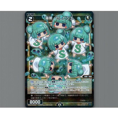 画像1: 羅菌　セレビシエ(パラ)