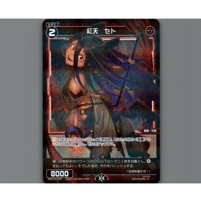 画像1: 紅天　セト(パラ)