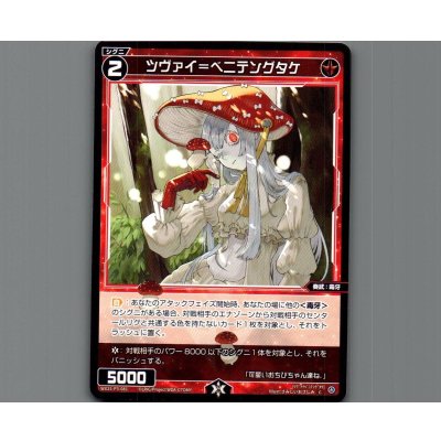 画像1: ツヴァイ＝ベニテングタケ