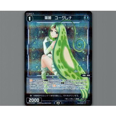 画像1: 羅菌　ユーグレナ(パラ)