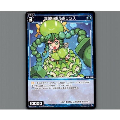 画像1: 羅菌　ボルボックス