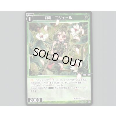 画像1: 幻竜　ニジェール