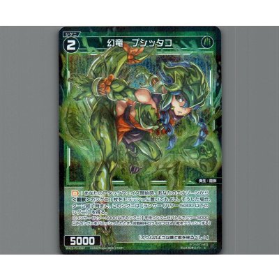 画像1: 幻竜　プシッタコ(パラ)